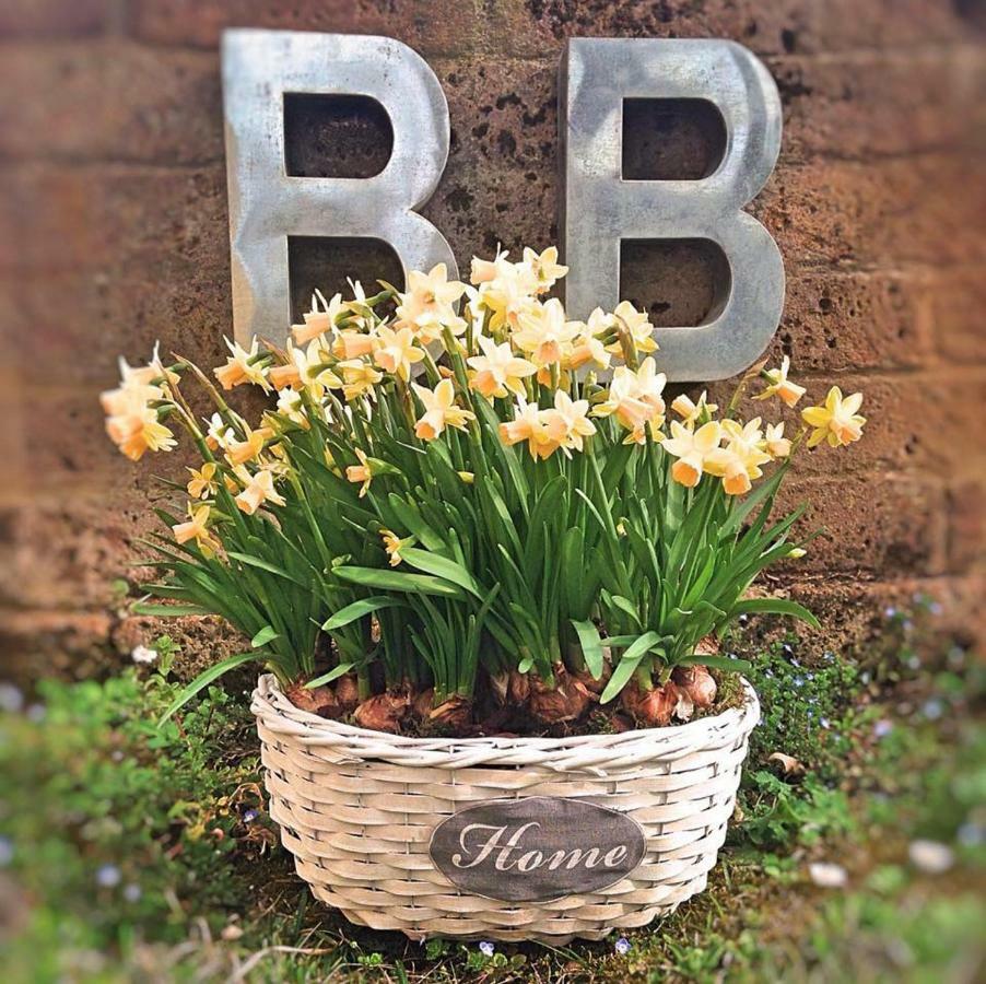 Bed and breakfast Nascondino Goito (Lombardy)